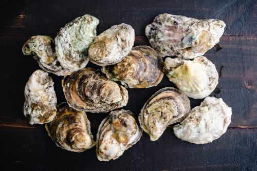 Whole Oysters (1 dozen)