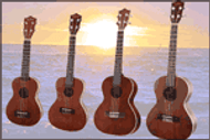 Ukulele Buying Guide  Different Ukulele Sizes - Austin Bazaar