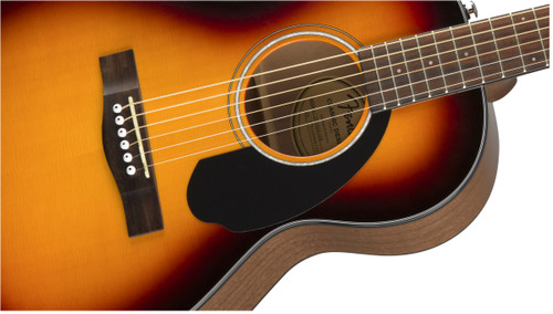 Pretty Tone Capone シングル2枚セット Takamine LTD2022 60th Anniversary Japan - burnt sienna tint