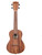 Kala KA-TEAK-C Teak Concert Ukulele w/ Hard Case