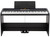 Korg XE20SP Digital Ensemble Piano w/ Stand