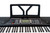 Vault KT-61 Keytone Touch Sensitive 61-Key Electronic Keyboard - Black w/ Stickers