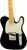 Fender American Professional II Telecaster - Black w/ Guitar Cleaning Kit