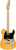 Squier Fender Squier Affinity Telecaster - Butterscotch Blonde w/ Frontman 10G Amplifier 