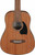  Ibanez PF2MH PF Performance 3/4-Size Dreadnought Acoustic Guitar - Open Pore Natural w/ Gig Bag 