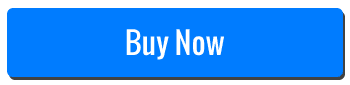 Buy Passport Mini Amp