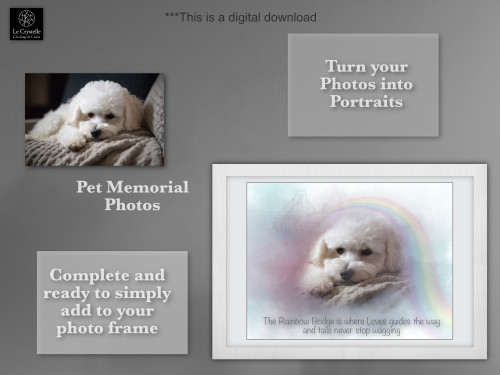 Digital Pet Portrait 9951  Digital Pet Portrait 9951