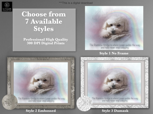 Digital Pet Portrait 9951  Digital Pet Portrait 9951