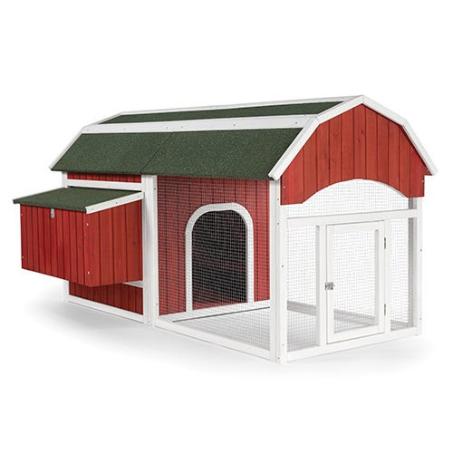 Barn Chicken Coop