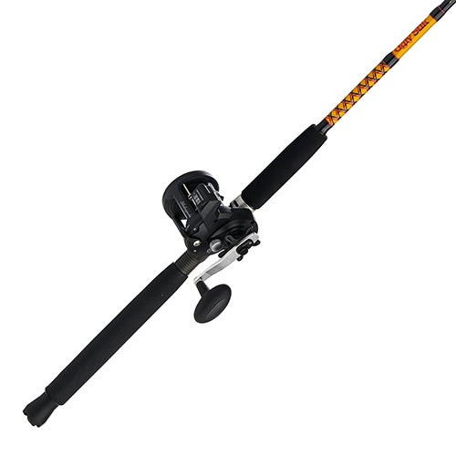 Bigwater Conventional Combo 30 Reel 9ft Light Rod
