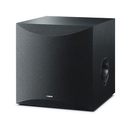 10" 100W Subwoofer