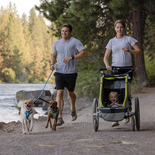 Double Track Dog Leash Coupler Basalt Gray