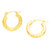 Yellow Gold Hoop Earrings