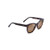 Alulu Lane Polarized Sunglasses Dark Tortoise Frame HCL Bronze Lens