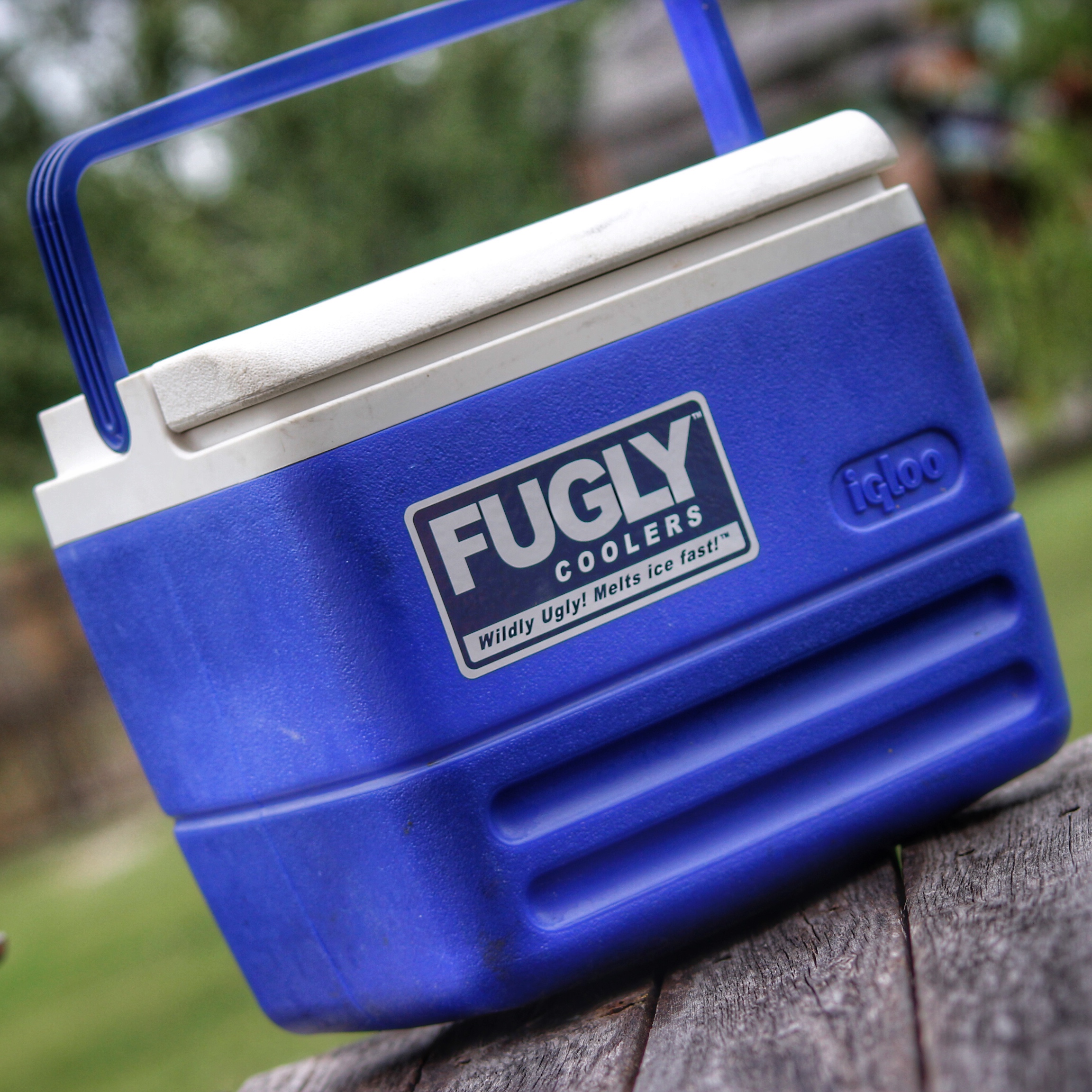 fugly-blue-cooler-wood.jpg