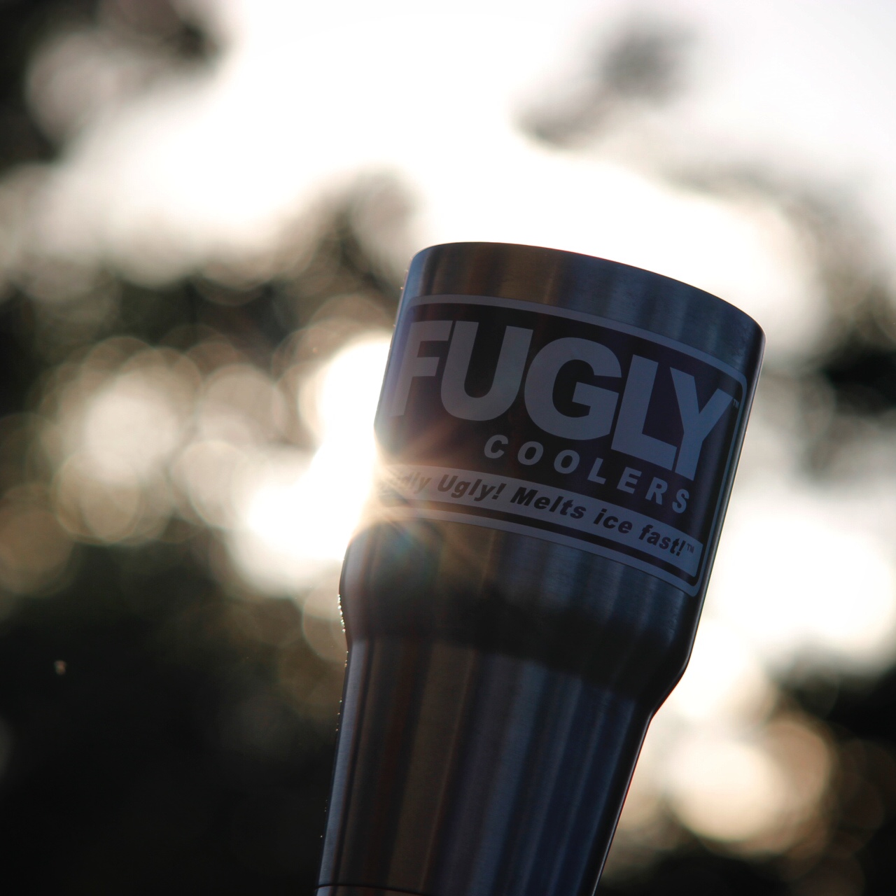 fugly-coolers-cup-in-sun.jpg