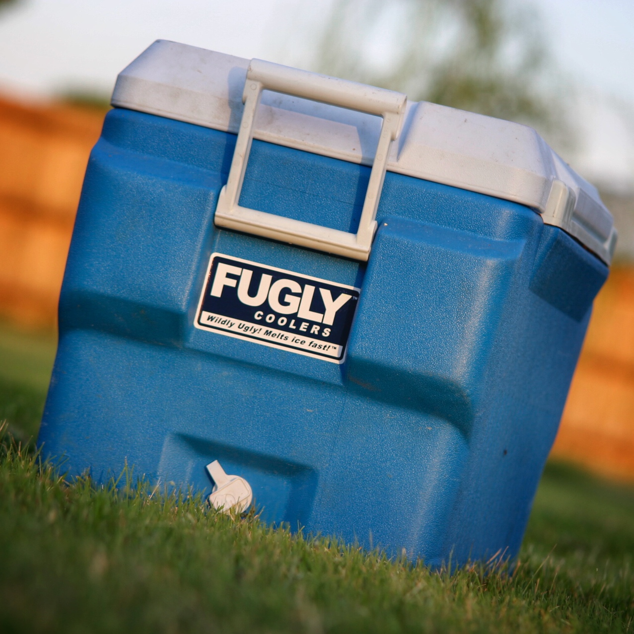 fugly-coolers-large-blue-in-grass.jpg