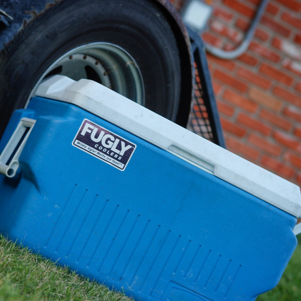 fugly-coolers-medium-blue-old-trailer.jpg