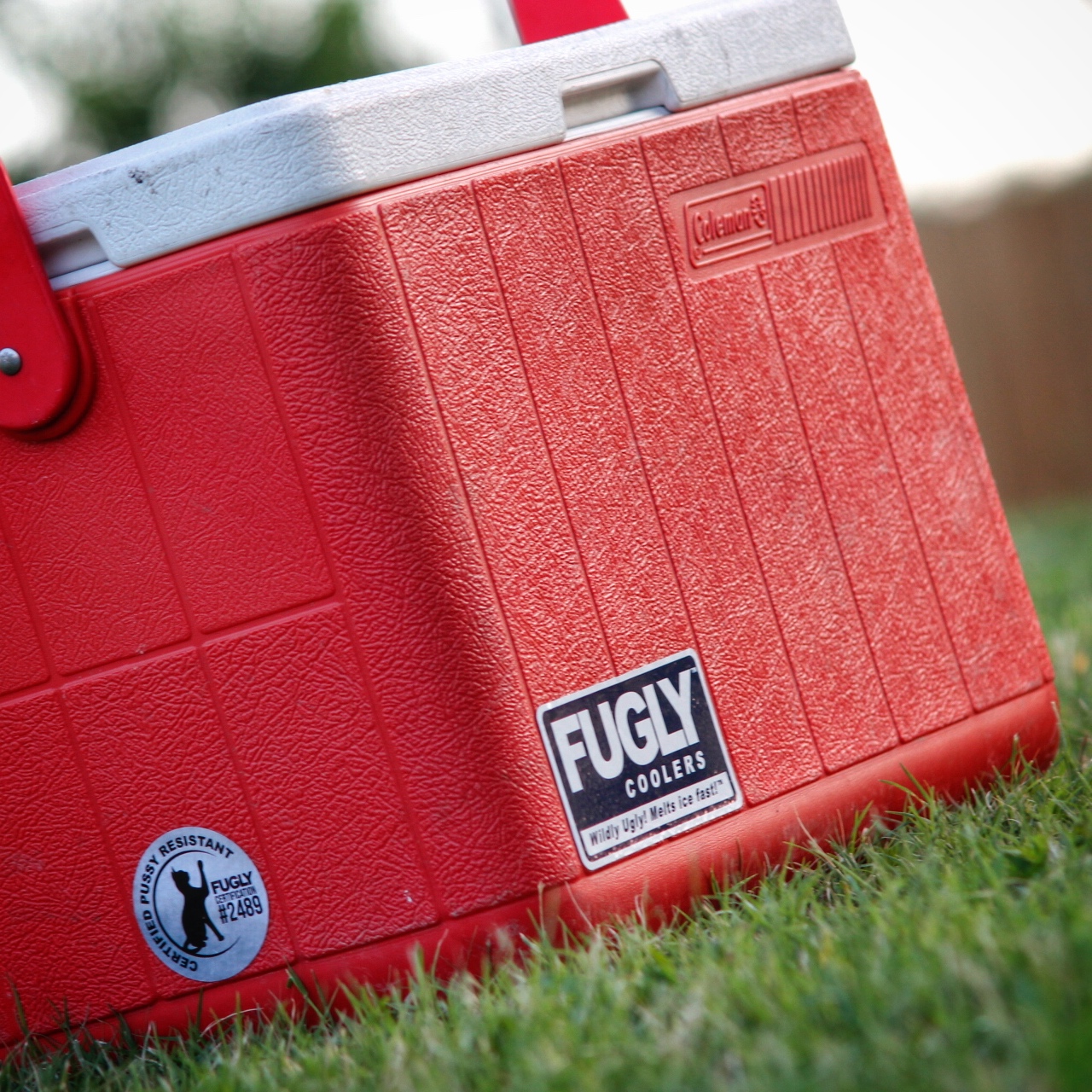 fugly-coolers-medium-red-low.jpg