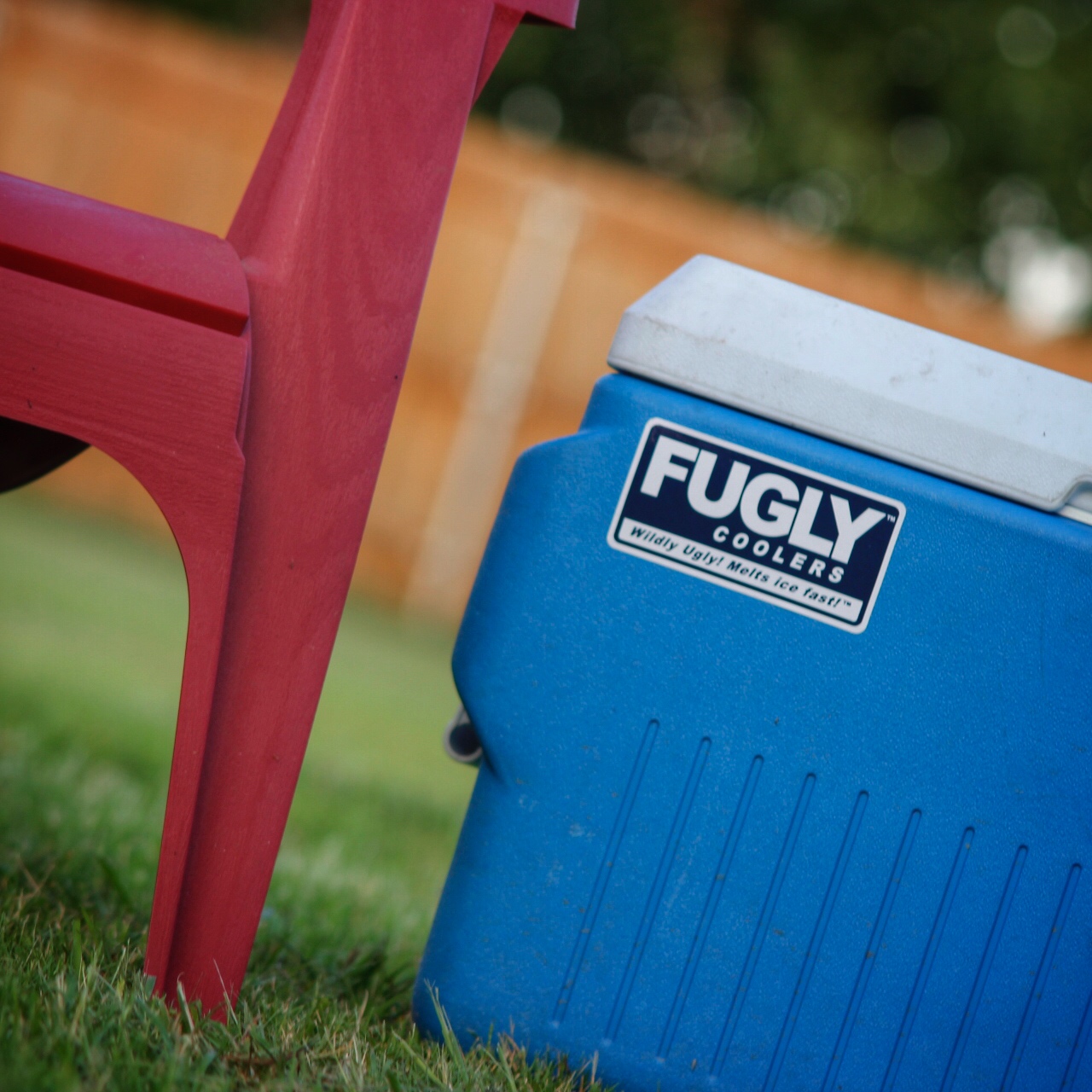 fugly-coolers-old-medium-blue-chair.jpg