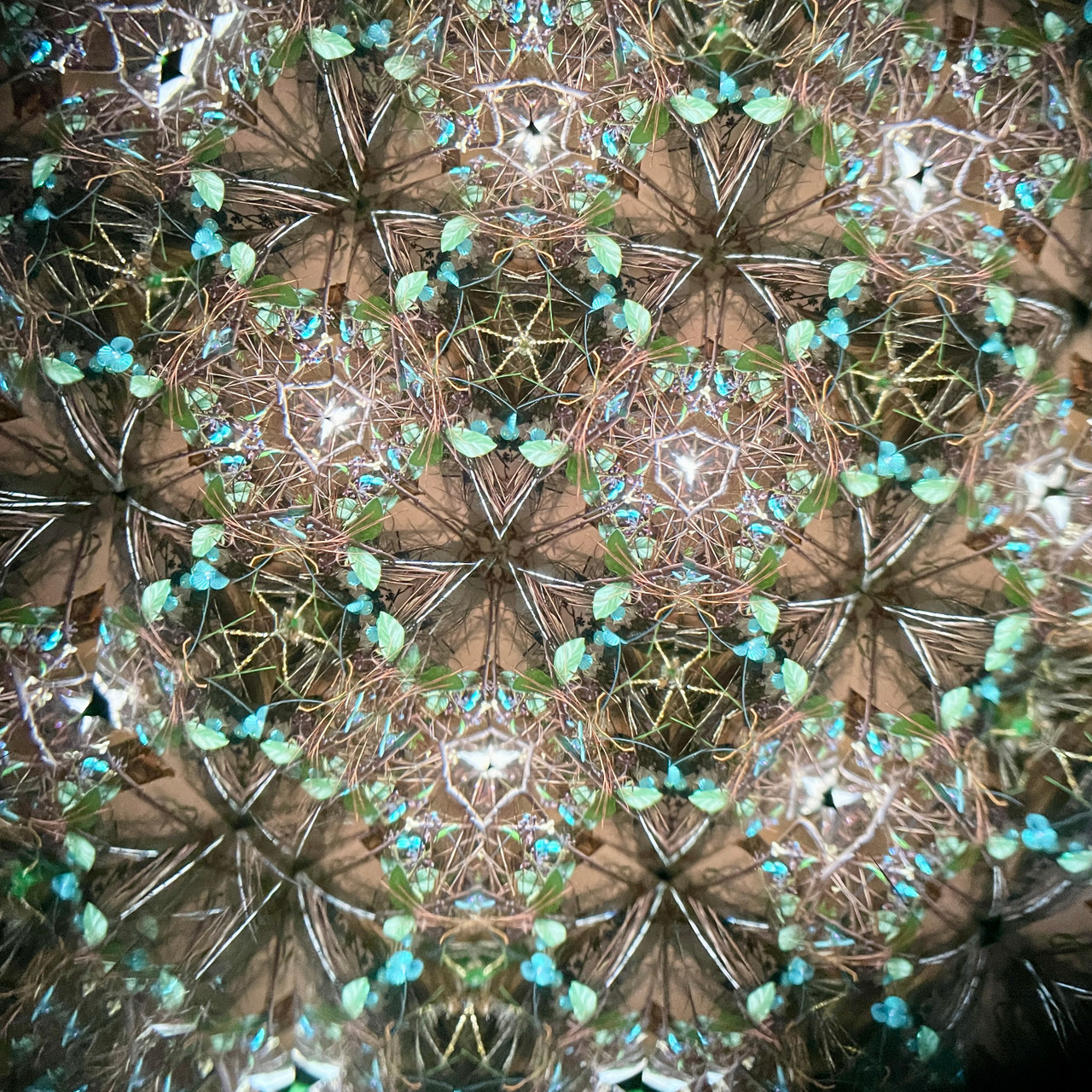 Crystal Vision - Teleidoscope