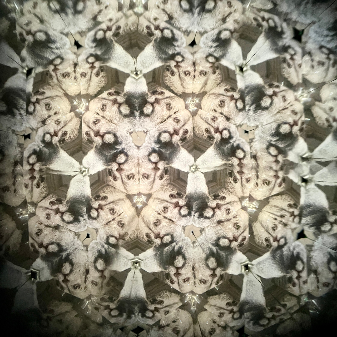 Crystal Vision - Teleidoscope
