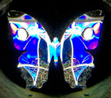 Morpho