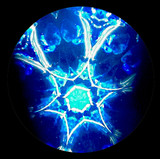 Silent Night in Blue