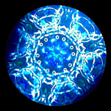 Silent Night in Blue