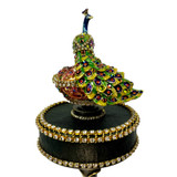 Peacock detail