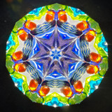 Armadillo Kaleidoscope