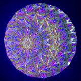 Both regular and UV Black light