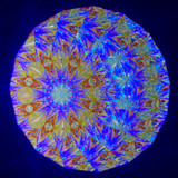 Both regular and UV Black light