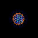 Forest Fantasy (M-Deltoid-UV)