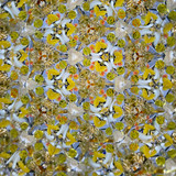 Feathers (CB) Feathers (CB)