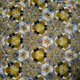 Feathers (CB) Feathers (CB)