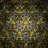 Feathers (CB) Feathers (CB)