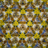 Feathers (CB) Feathers (CB)