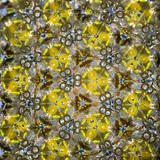 Feathers (CB) Feathers (CB)