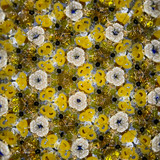 Feathers (CB) Feathers (CB)