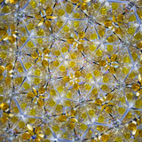 Feathers (CB) Feathers (CB)