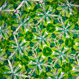 Feathers (CB) Feathers (CB)