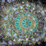 Disco
