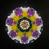Spring Garden 3/5