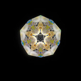 Seascope - Pāua Abalone