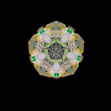 Seascope - Pāua Abalone