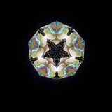 Seascope - Pāua Abalone