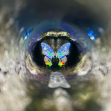 Move your light source instead of turning the cell and you'll see the colors magically change before your eyes! Move your light source instead of turning the cell and you'll see the colors magically change before your eyes!