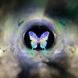 Move your light source instead of turning the cell and you'll see the colors magically change before your eyes!