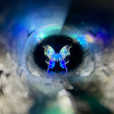 Move your light source instead of turning the cell and you'll see the colors magically change before your eyes!